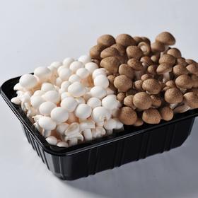 黑白菌菇双拼（袋）