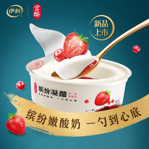 TD伊利220g宫酪草莓蔓越莓风味酸乳（青龙 商品图5