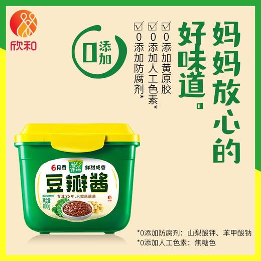 葱伴侣800g六月香豆瓣酱 商品图1