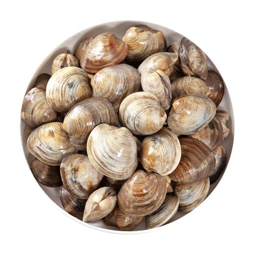 美贝(500g±50g) 商品图0