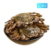 【鲜活】鲜活河蟹(500±50g) 商品缩略图0