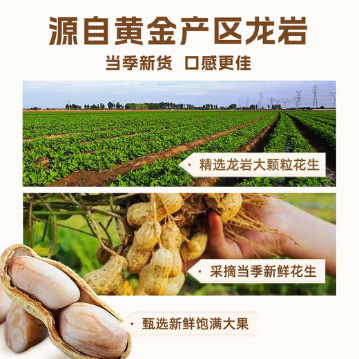 悦绿野陈皮花生238g 商品图3
