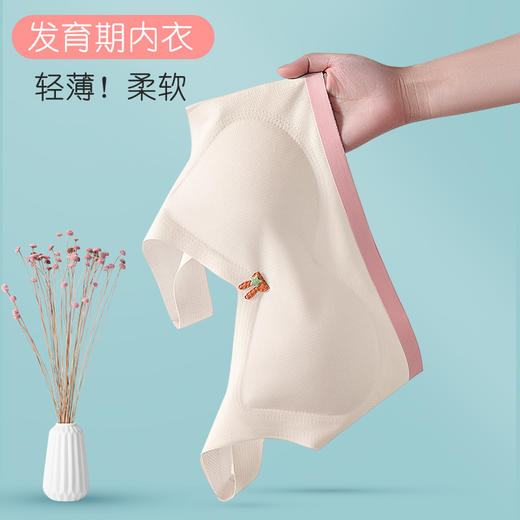 童童树女孩发育期少女内衣5A抑菌无痕宽肩带初高中无钢圈女生背 商品图1