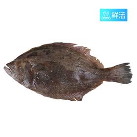 偏口鱼大(850g±50g)多退少补 默认不收拾收拾请备注