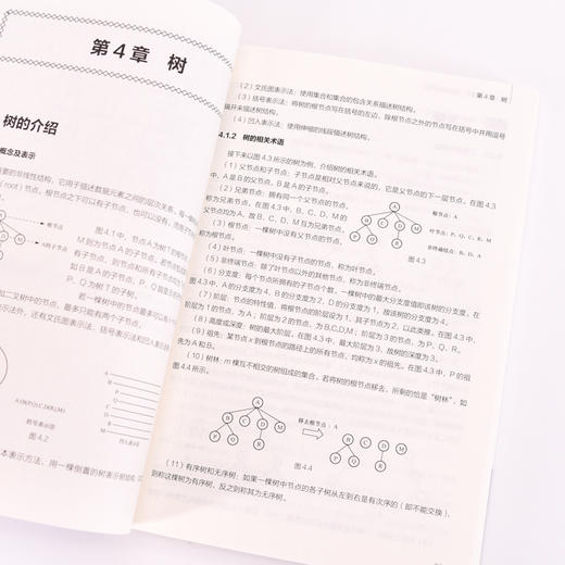 信息学竞赛宝典 数据结构基础 信息学奥赛一本通信息学竞赛书籍*竞赛教程数据结构计算机程序设计书籍 商品图3