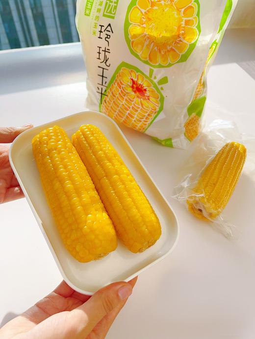 【甄选】黄糯玲珑鲜食玉米金黄色泽软糯香甜早餐优选1.2kg/袋 商品图1