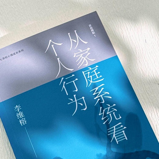 家庭舞蹈 1 从家庭系统看个人行为 李维榕 家庭教育 家庭治疗真实案例 商品图4