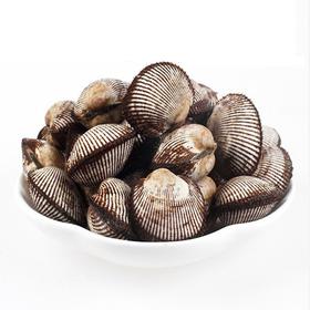 【鲜活】毛蚶子(500g±50g)