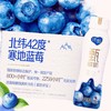 TD蒙牛230g纯甄蓝莓风味酸奶 商品缩略图2