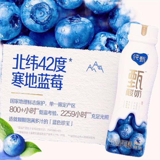 TD蒙牛230g纯甄蓝莓风味酸奶 商品图2
