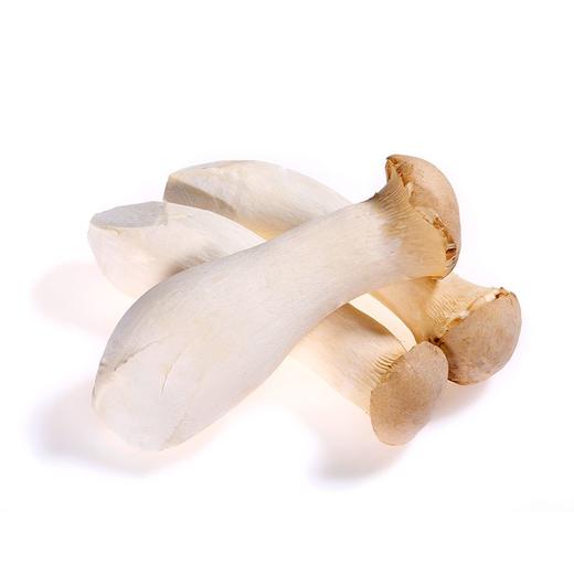 杏鲍菇(500±30g)蘑菇 商品图0