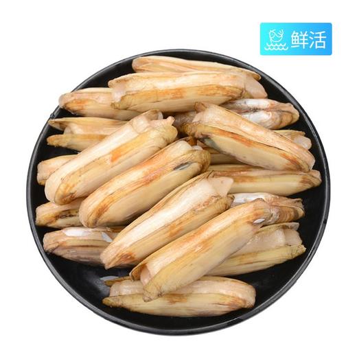 海蛏子（1100±50g） 商品图0