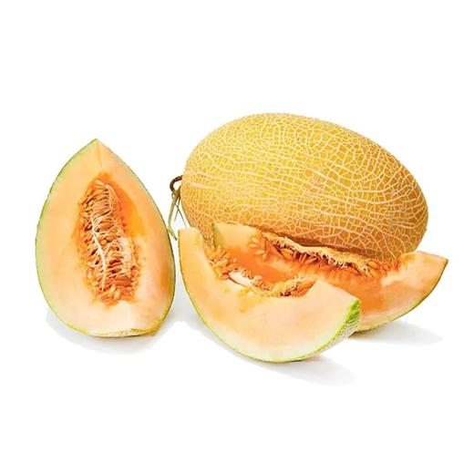 金龙蜜瓜（1200±50g）甜瓜香瓜 商品图0