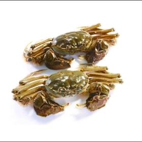 【鲜活】鲜活河蟹公(500±50g)