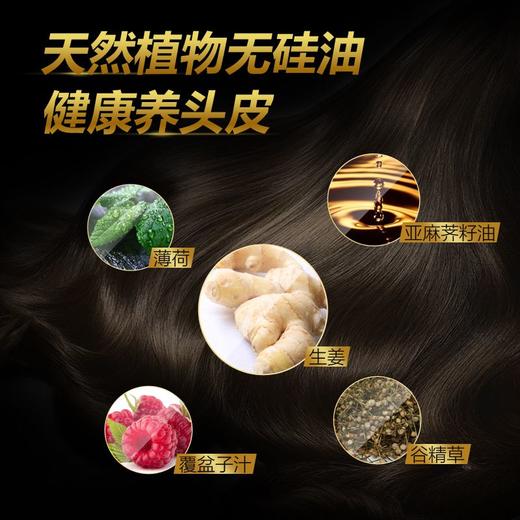 T滋源535ml生姜强根健发护发素（中干性头皮） 商品图2