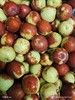 优选黄骅冬枣（约500g） 商品缩略图0