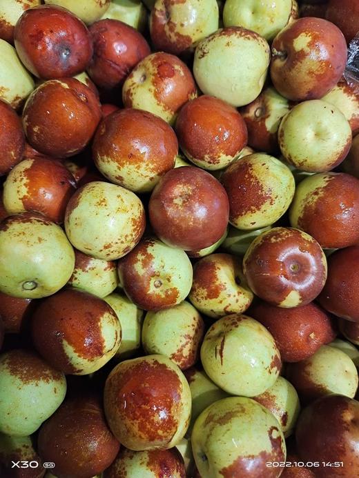优选黄骅冬枣（约500g） 商品图0