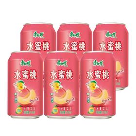 T康师傅310ml*6水蜜桃饮品