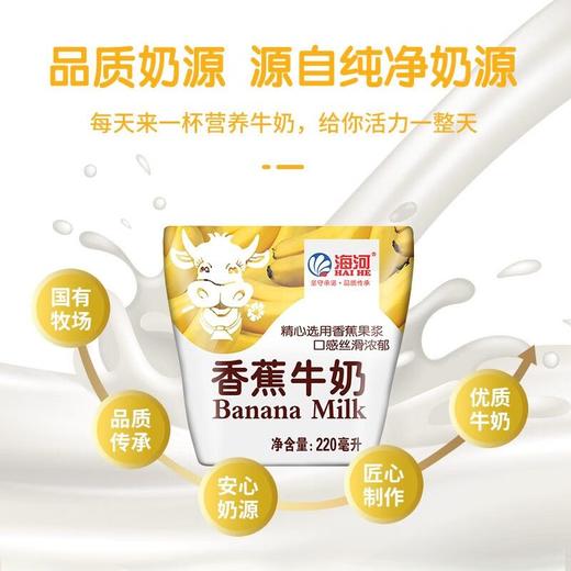 海河220ml香蕉牛奶 商品图8