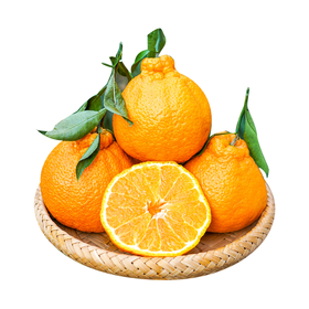 四川丹棱不知火（丑桔）（1000±50g）