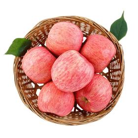 绥中红富士苹果（1000±100g）