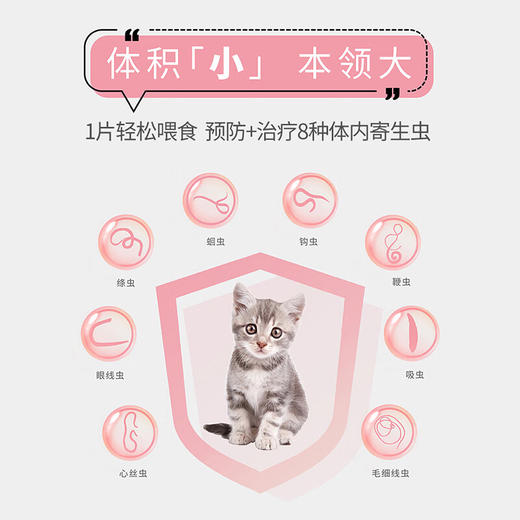 【正品保障】海乐妙 猫咪体内驱虫药猫用打虫药 防治绦虫吸虫耳螨蛔虫钩虫心丝虫等【线下6片装 带码】 商品图2