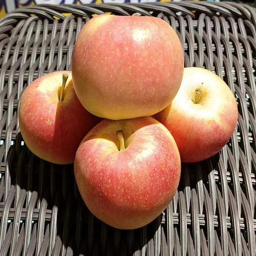 红嘎啦苹果（500±50g) 商品图1