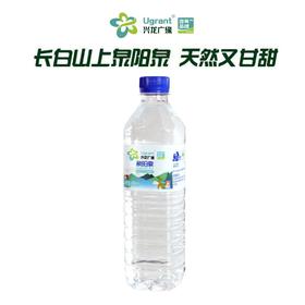 兴龙广缘泉阳泉600ml天然矿泉水