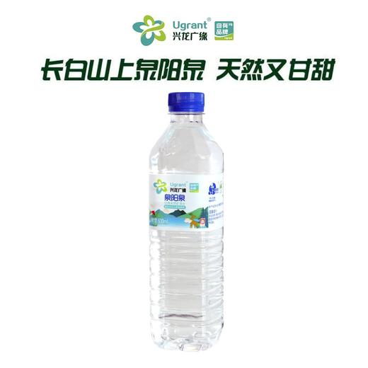 兴龙广缘泉阳泉600ml天然矿泉水 商品图0
