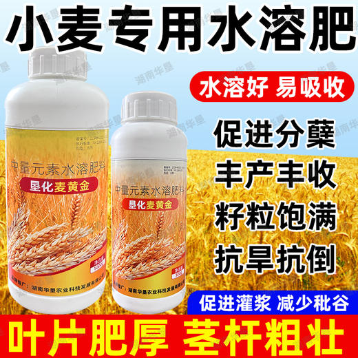 正品垦化麦黄金叶面肥小麦丰产专用肥籽粒饱满高产飞防中量水溶肥 商品图3