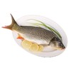 鲤鱼（约1000g）多退少补（默认不收拾，收拾请备注） 商品缩略图1