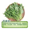 芝麻菜(300±30g) 商品缩略图0