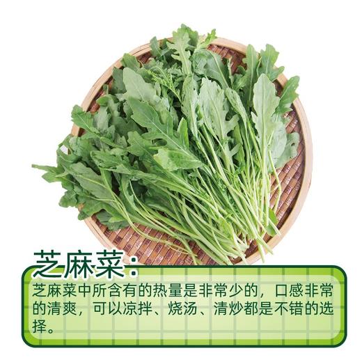 芝麻菜(300±30g) 商品图0