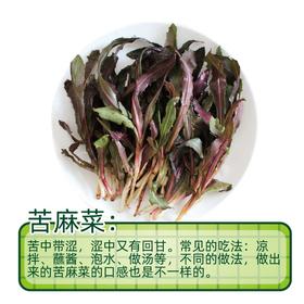 苦麻菜（160±30g）