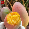 【七彩斑斓贵妃芒】精选小贵妃芒，入口超香甜~ 商品缩略图5