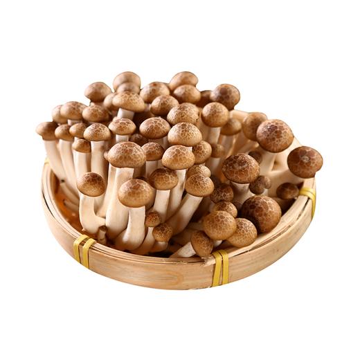 蟹味菇（散）(450±30g)蘑菇 商品图0