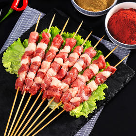 宁鑫羊肉串10串共200g 新鲜纯羊肉串制 户外烧烤 （158包邮）