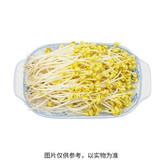 福来长黄豆芽(450±30g) 商品图1