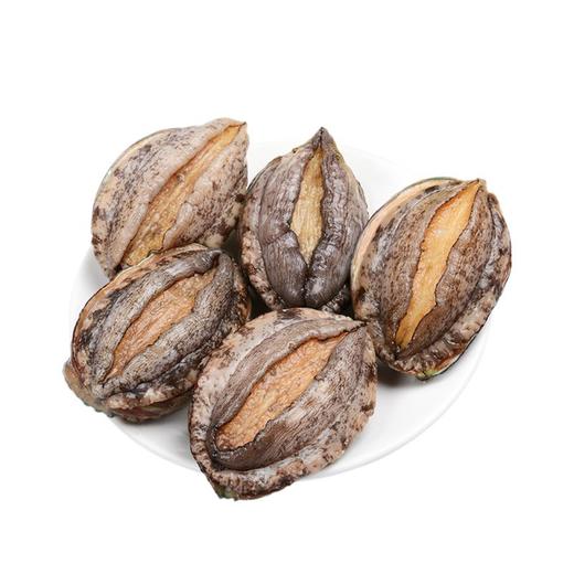 鲍鱼小（5只） 商品图2