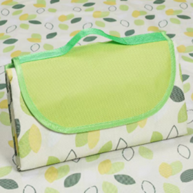 游友无纺布野餐垫200*200cm