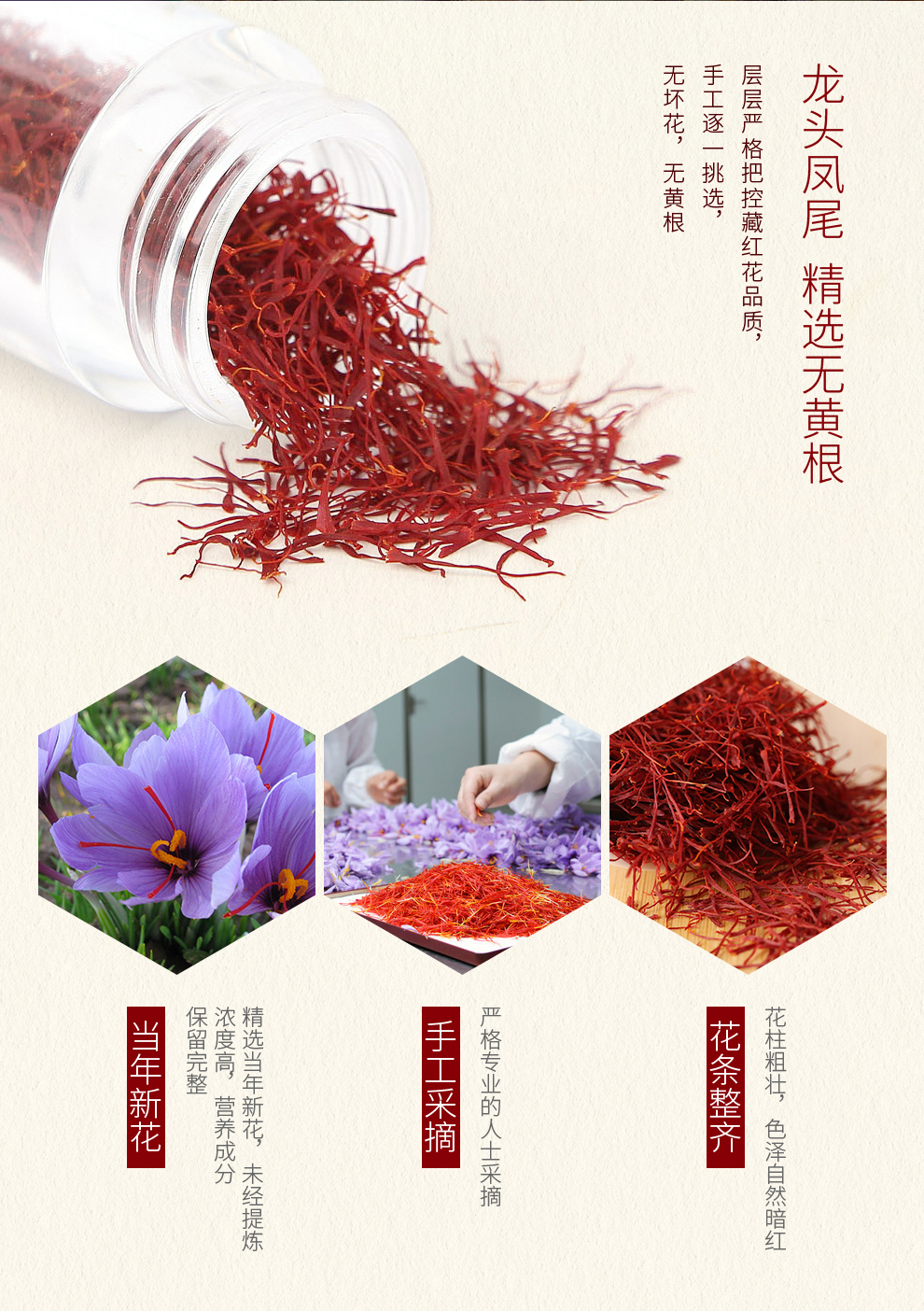 青藏甄选 藏红花10克礼盒