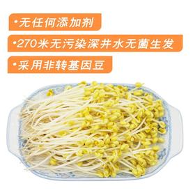 福来长黄豆芽(450±30g)