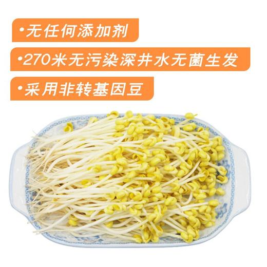 福来长黄豆芽(450±30g) 商品图0