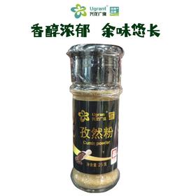 兴龙广缘25g孜然粉