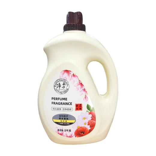 净柔5kg香水香氛洗衣液【一箱请拍4桶】 商品图0