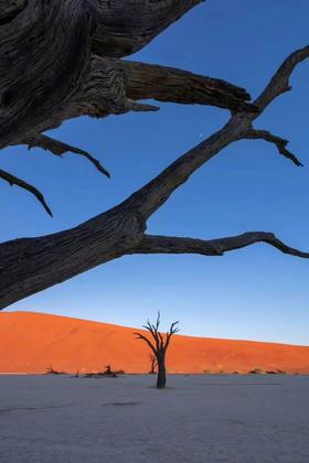 5月9日-28日|津巴布韦+赞比亚+博茨瓦纳+纳米比亚