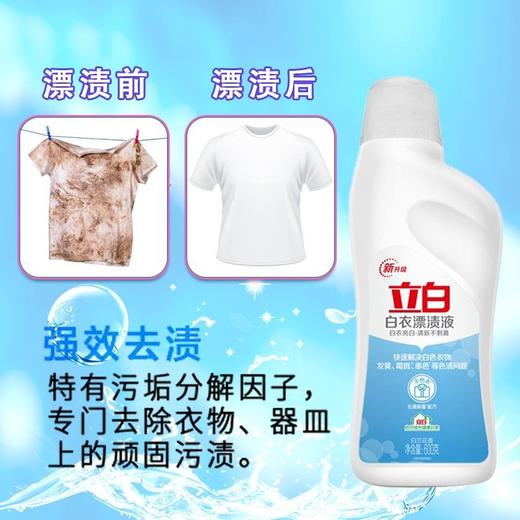立白600g漂渍液 商品图4