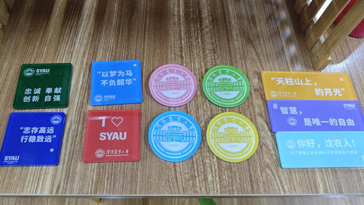 沈农冰箱贴亚克力软磁吸装饰 商品图4