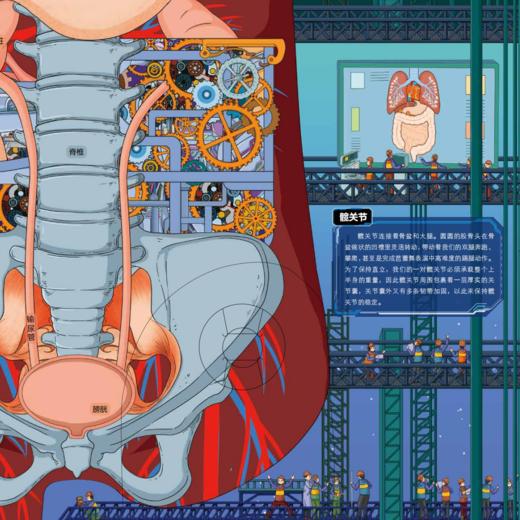 《人体工程师：立体书》 商品图4