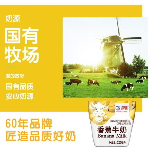 海河220ml香蕉牛奶 商品图5